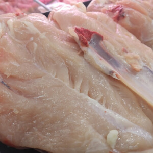 PECHUGA DE POLLO